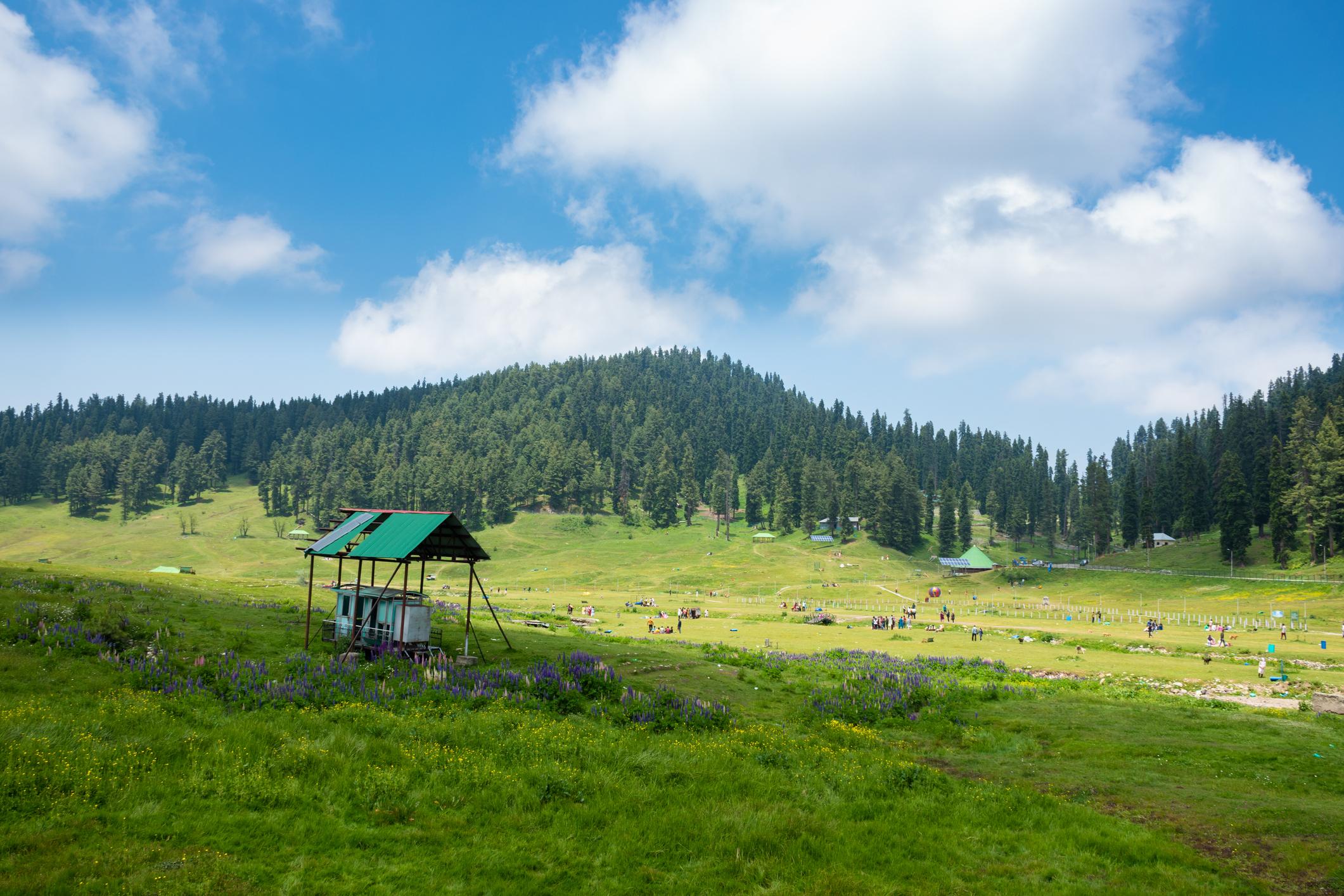 Diskhal